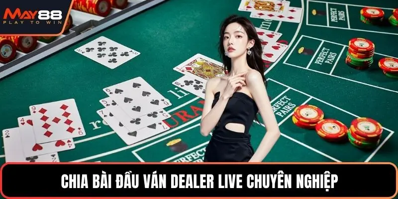 Chia bài đầu ván dealer live chuyên nghiệp