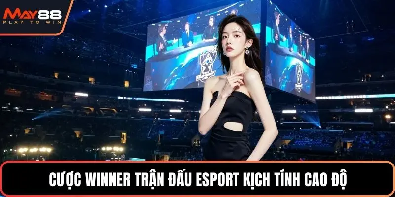 Cược winner trận đấu esport kịch tính cao độ