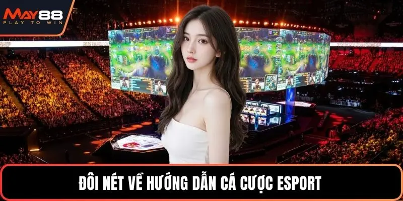Đôi nét về hướng dẫn cá cược esport