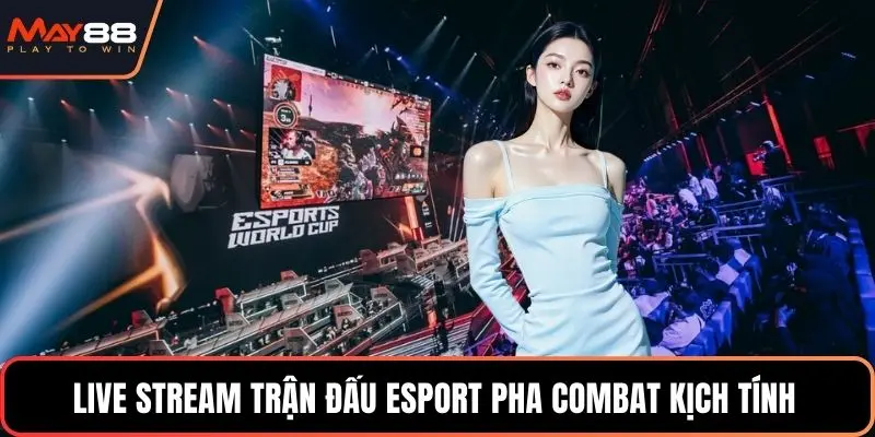 Live stream trận đấu esport pha combat kịch tính